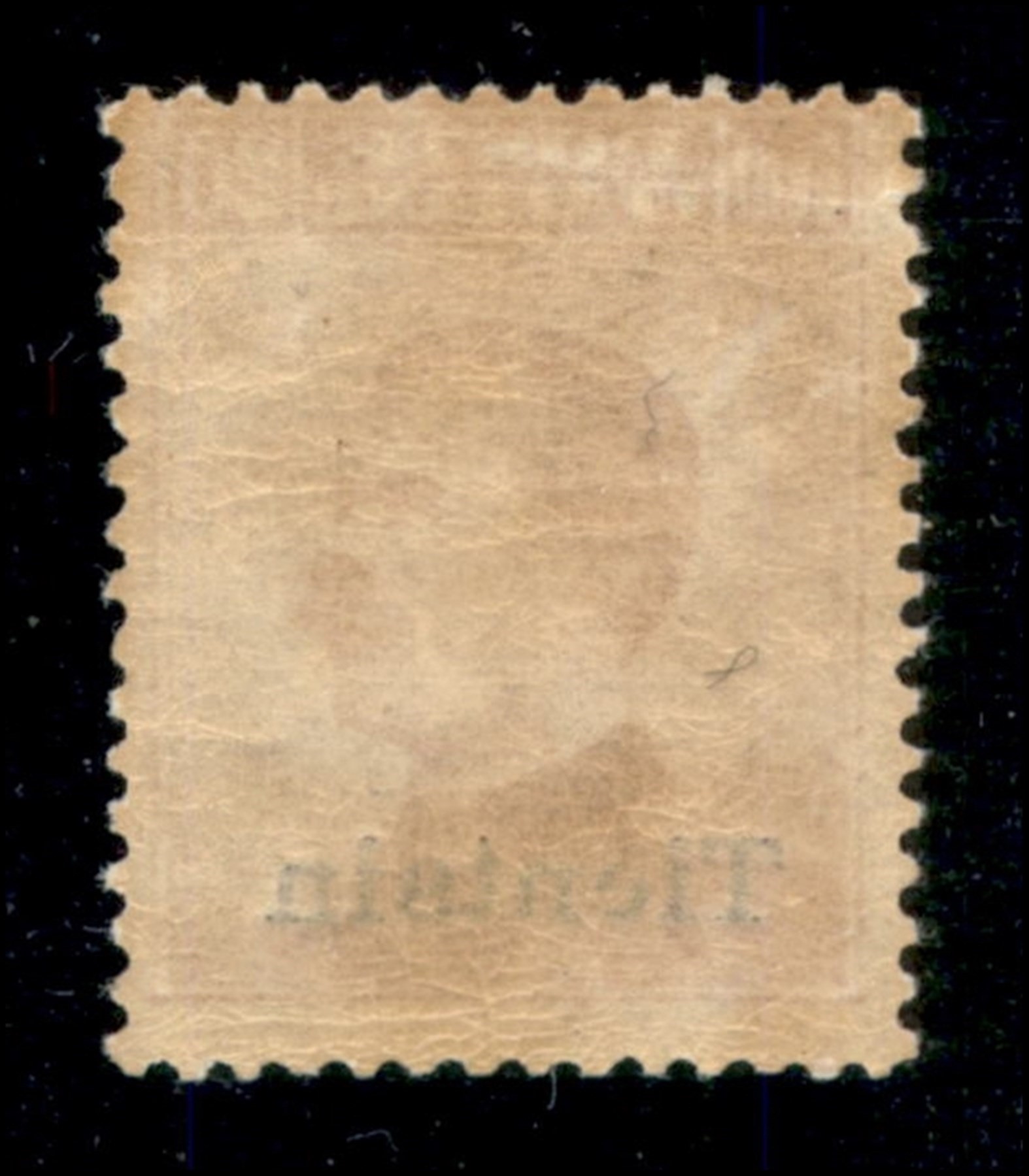 Italia / Uffici Postali All'estero / Levante / Tientsin / Posta Ordinaria