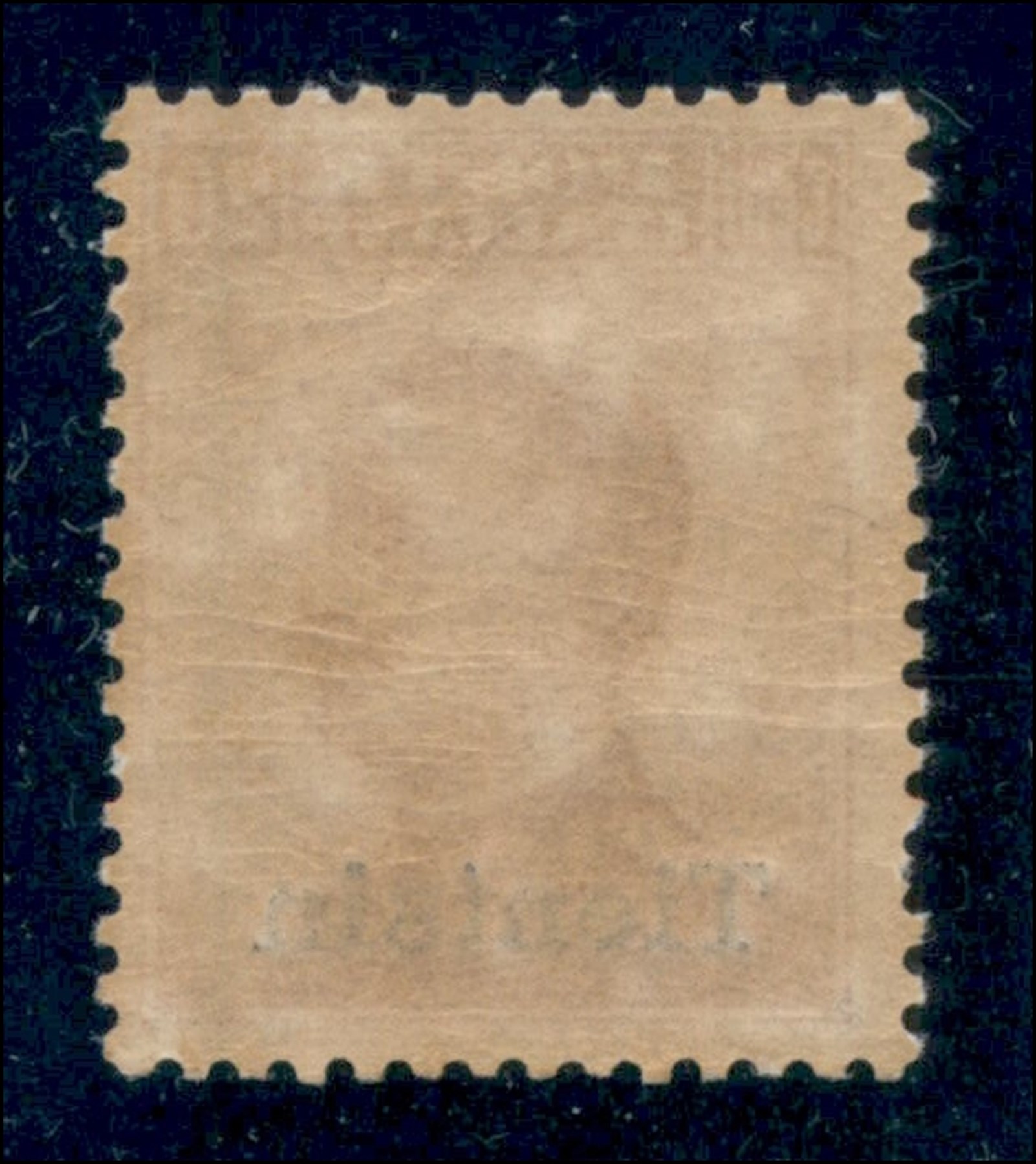 Italia / Uffici Postali All'estero / Levante / Tientsin / Posta Ordinaria