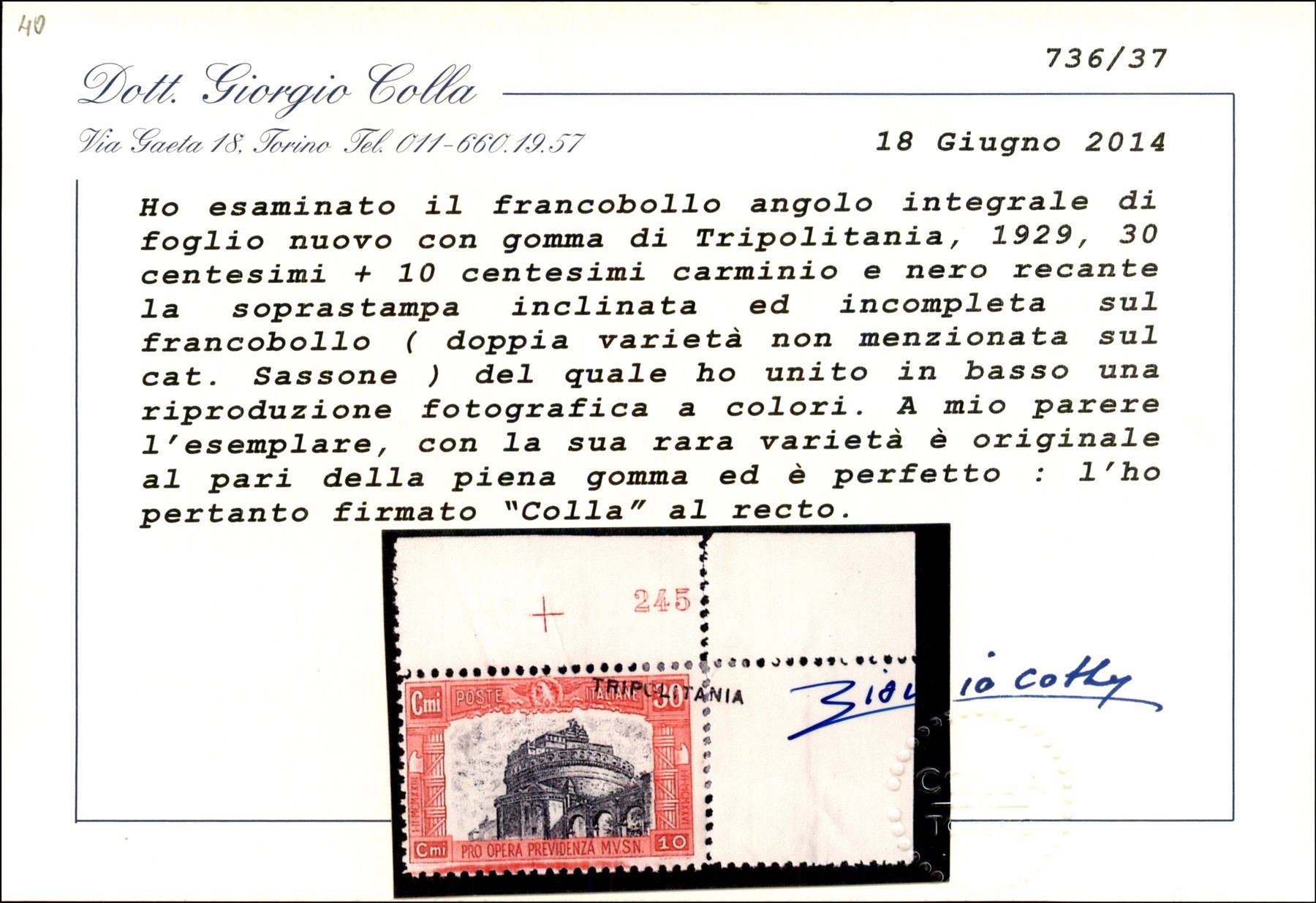 Italia / Colonie / Tripolitania / Posta Ordinaria