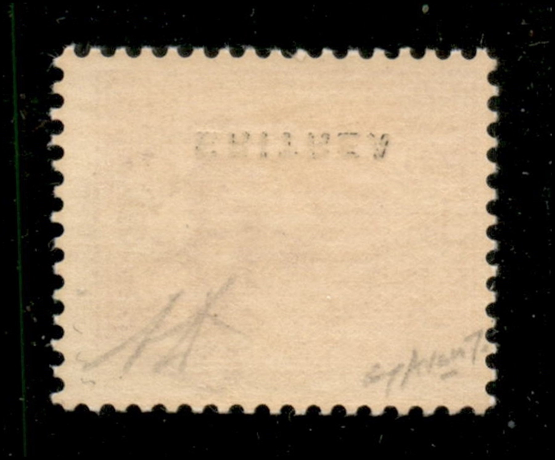 Italia / Colonie / Eritrea / Segnatasse