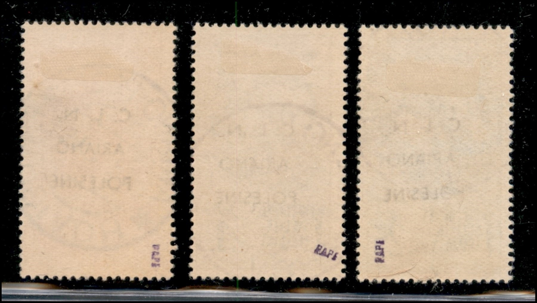 Italia / C.L.n. / Ariano Polesine / Posta Ordinaria