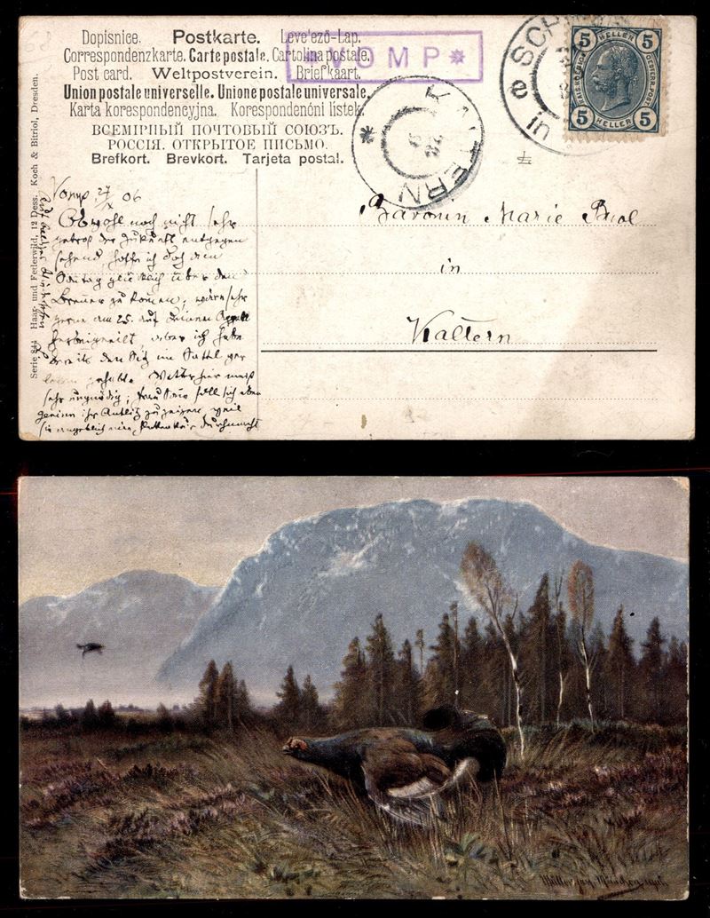 Italia / Antichi Stati Italiani / Territori Italiani D'austria / Posta Ordinaria