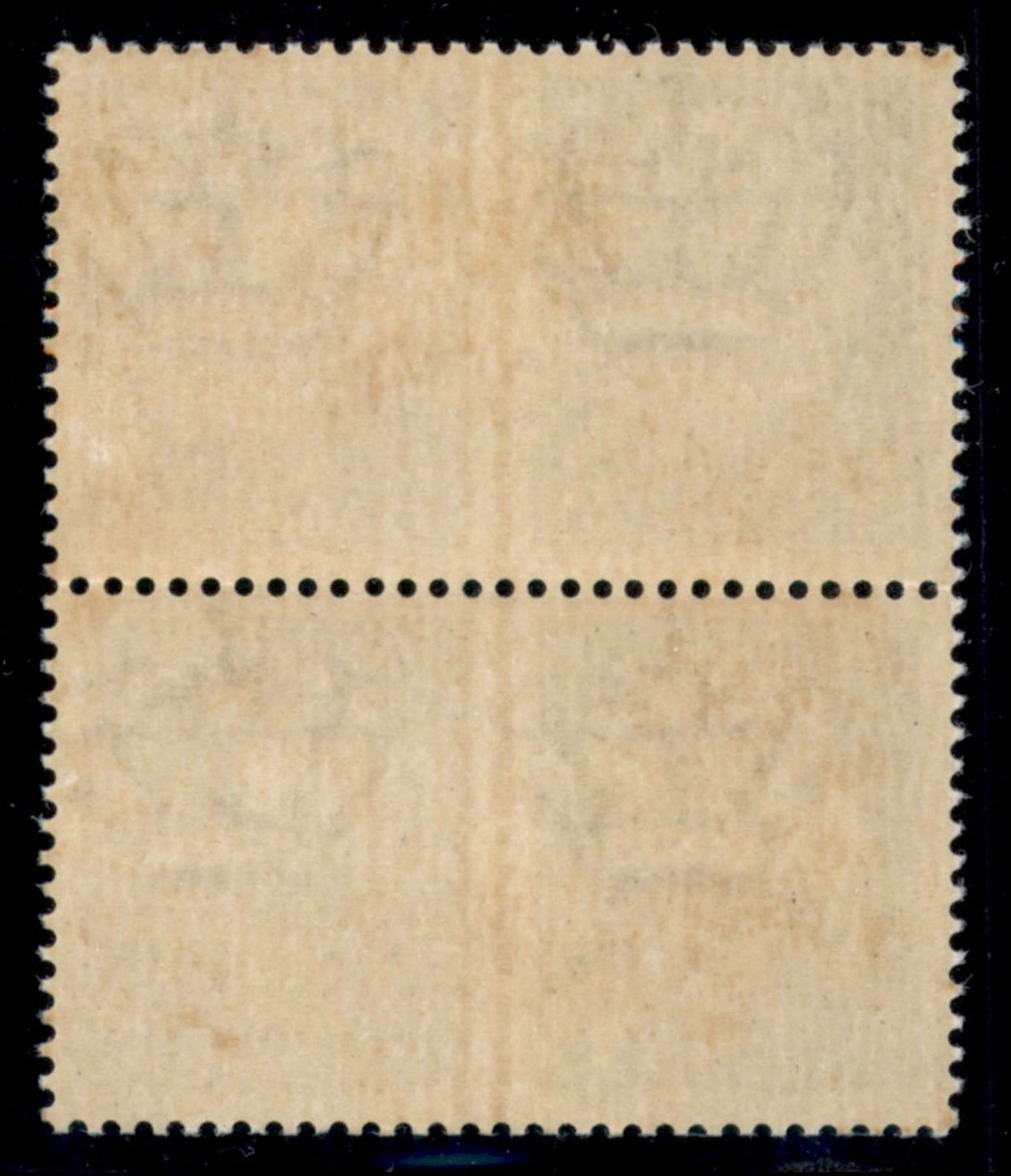 Italia / Rsi / G.n.r. Brescia / Propaganda di Guerra