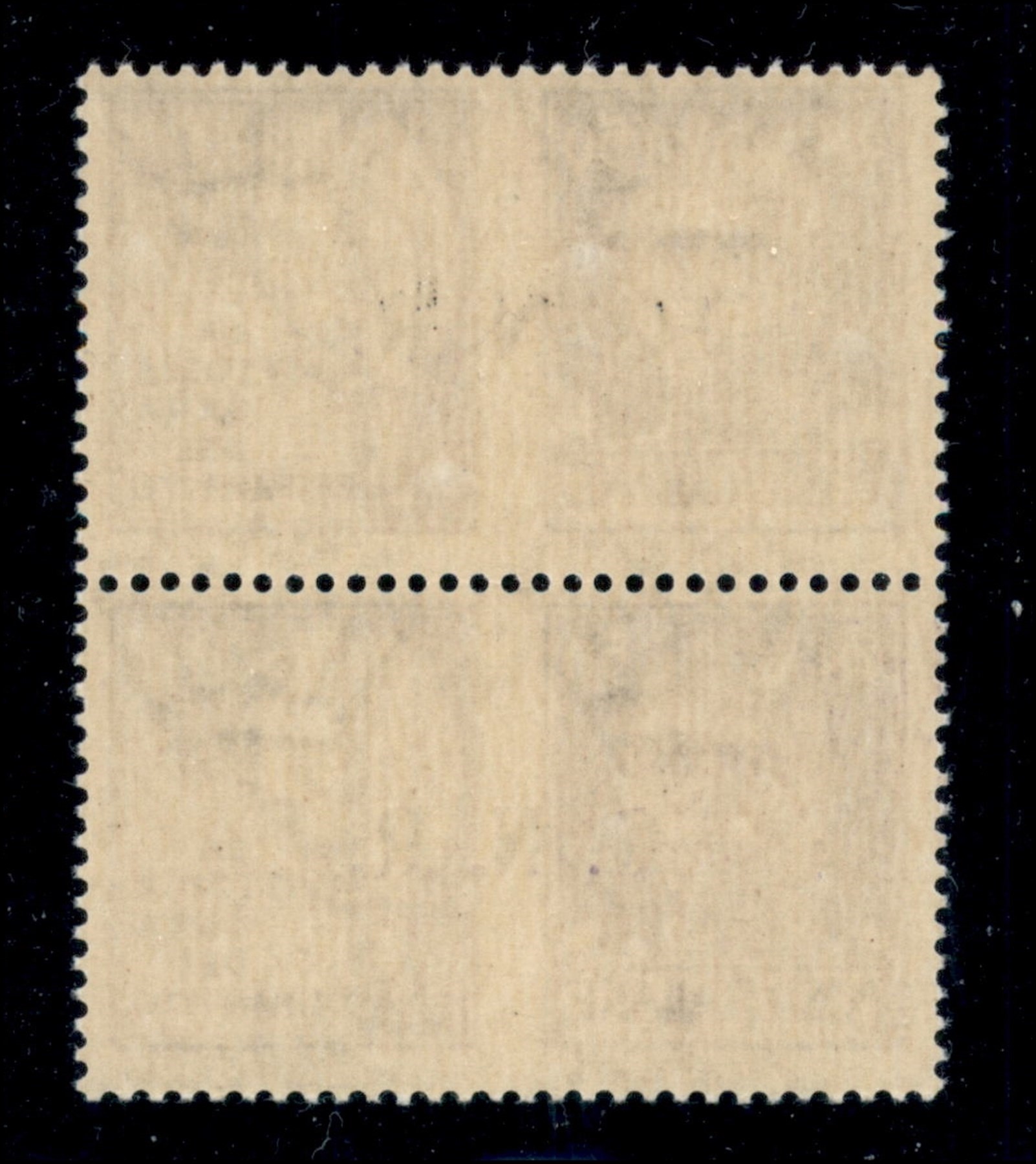 Italia / Rsi / G.n.r. Brescia / Propaganda di Guerra