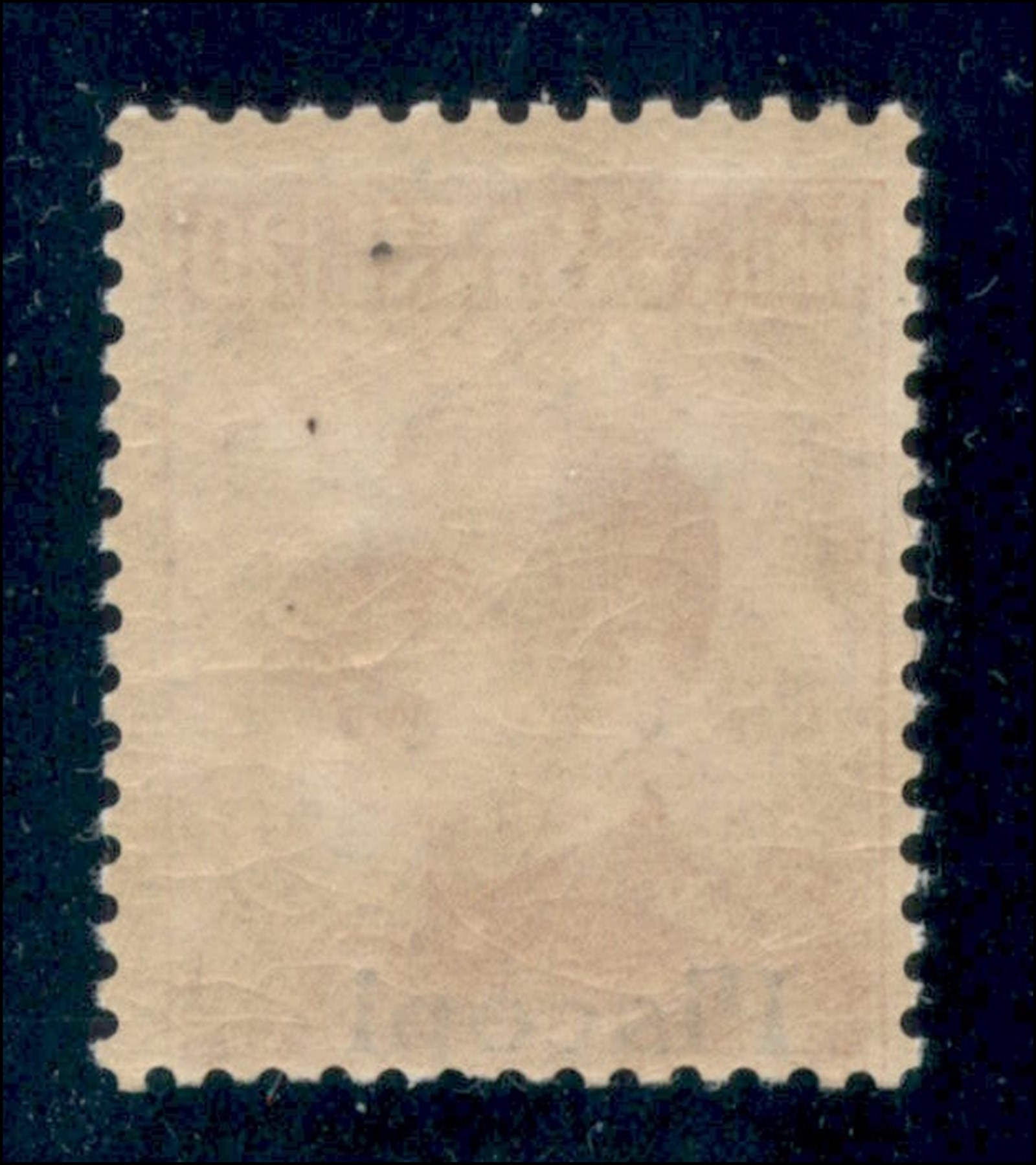 Italia / Colonie / Egeo / Piscopi / Posta Ordinaria