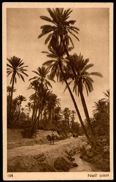 Italia / Colonie / Eritrea / Posta Ordinaria