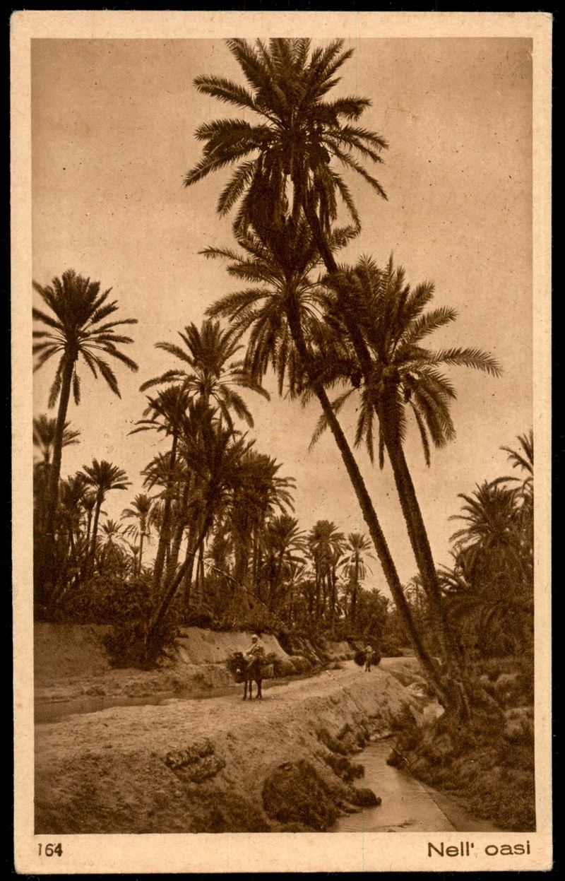 Italia / Colonie / Eritrea / Posta Ordinaria