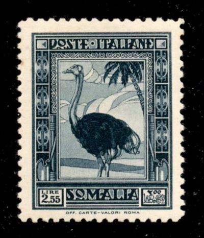 Italia / Colonie / Somalia / Posta Ordinaria