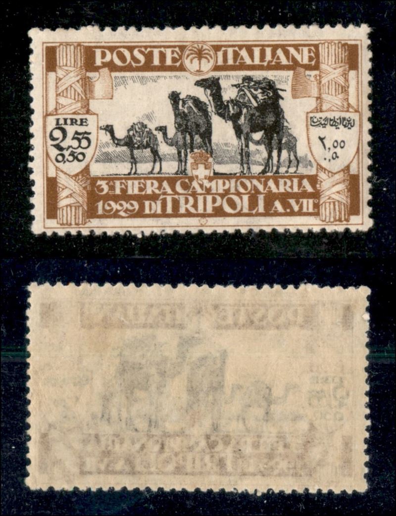 Italia / Colonie / Libia / Posta Ordinaria