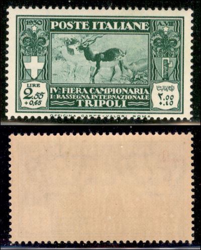Italia / Colonie / Libia / Posta Ordinaria