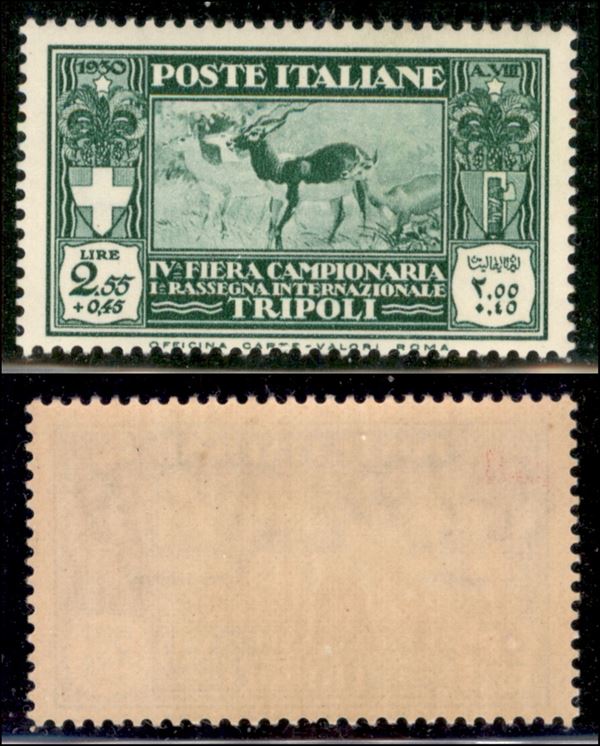 ITALIA / Colonie / Libia / Posta ordinaria