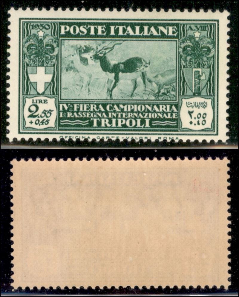 Italia / Colonie / Libia / Posta Ordinaria