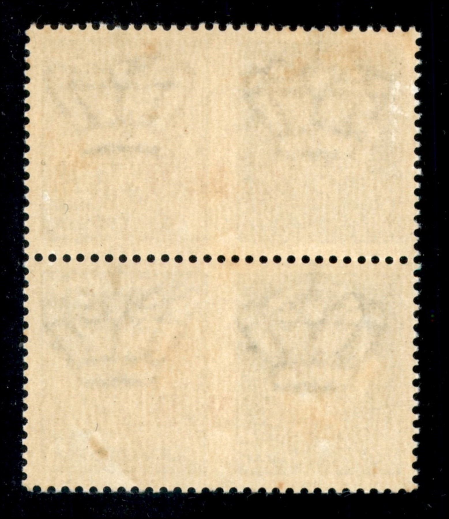 Italia / Rsi / G.n.r. Brescia / Propaganda di Guerra