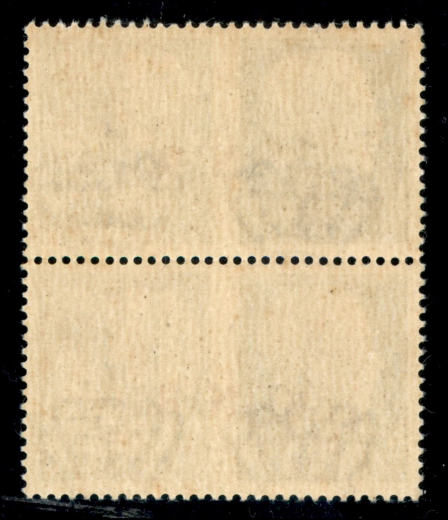 Italia / Rsi / G.n.r. Brescia / Propaganda di Guerra