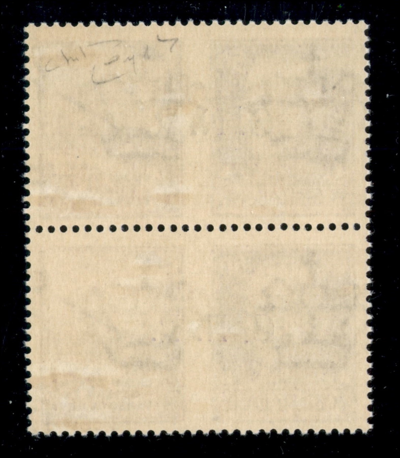 Italia / Rsi / G.n.r. Brescia / Propaganda di Guerra
