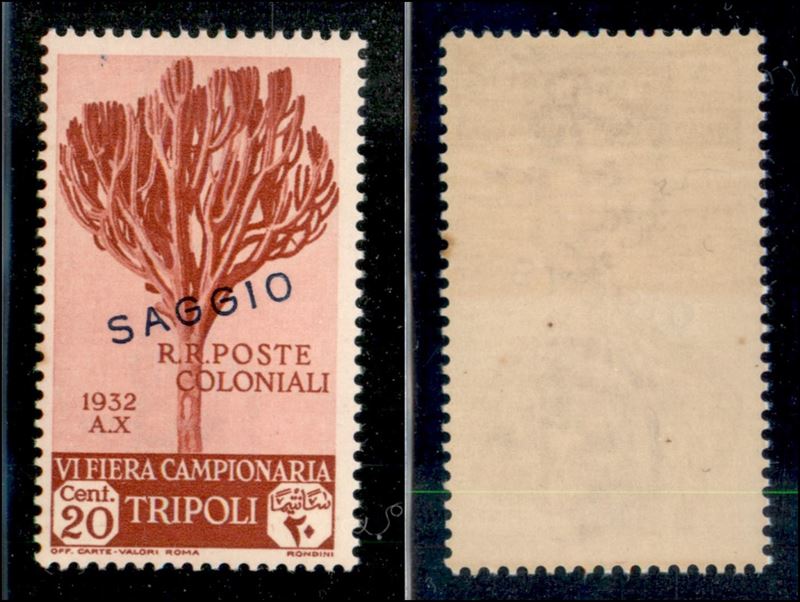 Italia / Colonie / Libia / Saggi