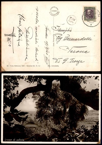 Italia / Colonie / Etiopia / Posta Ordinaria