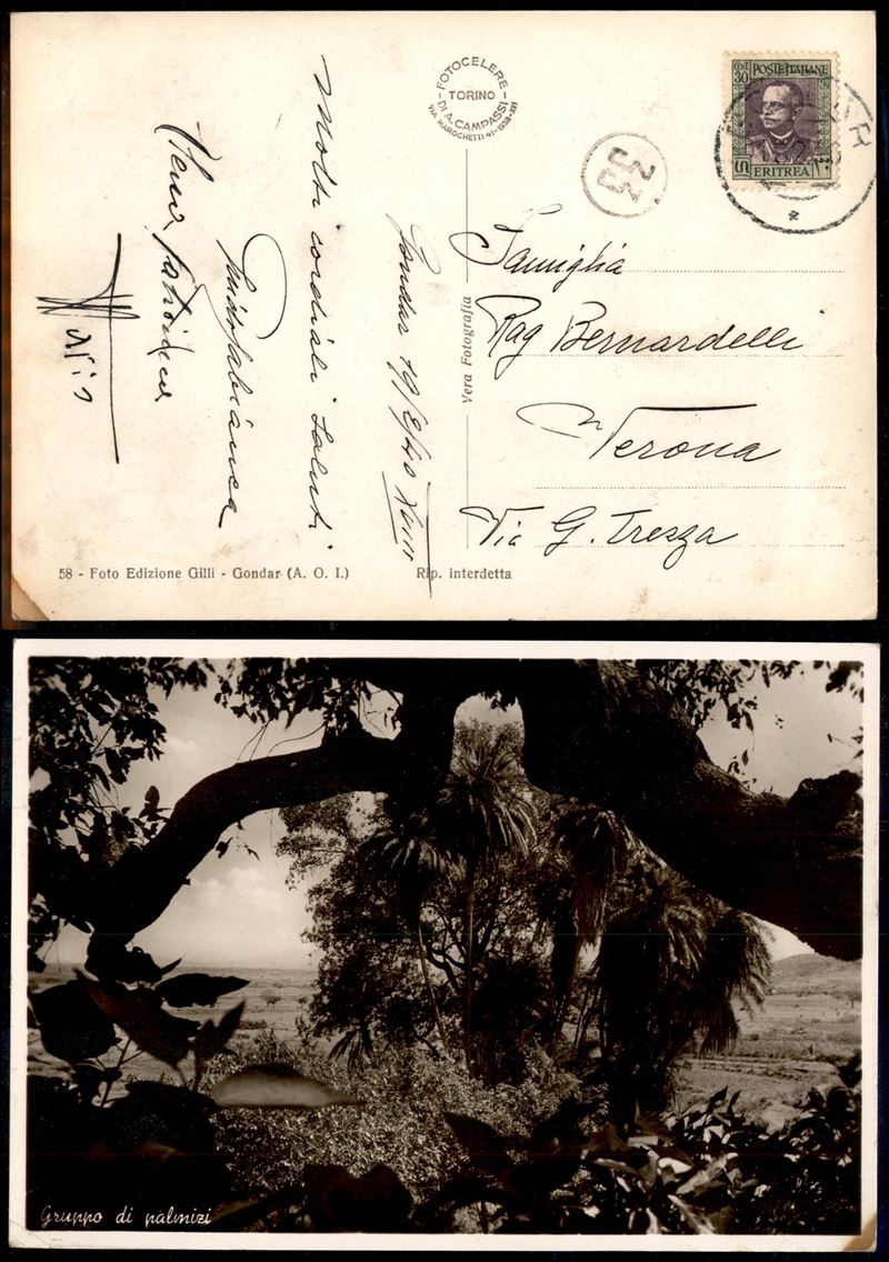 Italia / Colonie / Etiopia / Posta Ordinaria