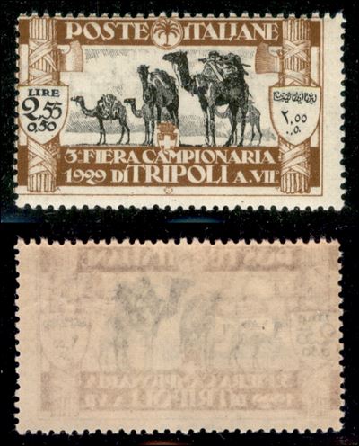 Italia / Colonie / Libia / Posta Ordinaria