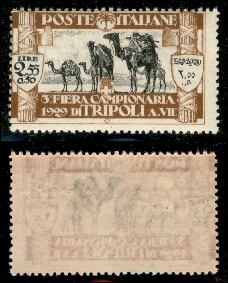 Italia / Colonie / Libia / Posta Ordinaria