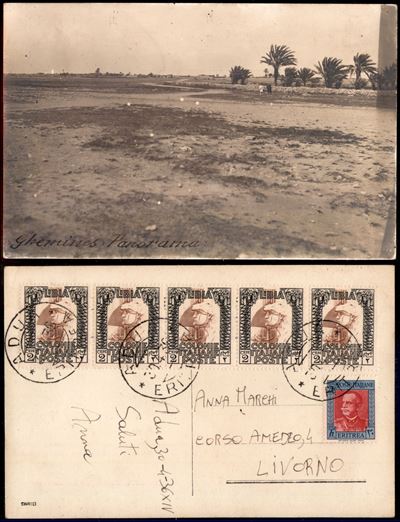Italia / Colonie / Libia / Posta Ordinaria