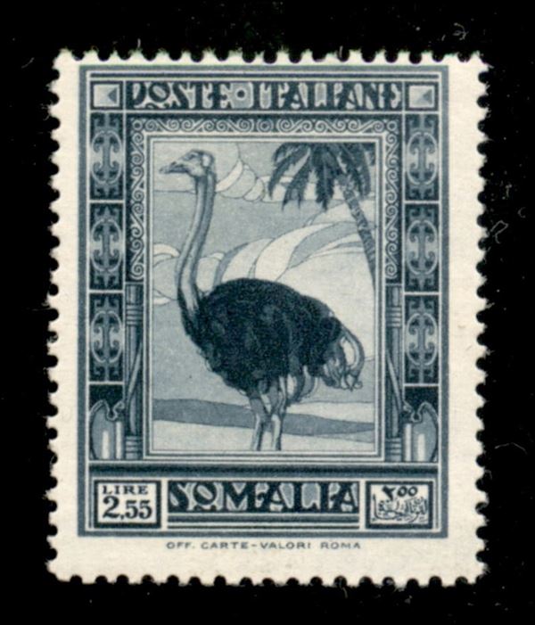 ITALIA / Colonie / Somalia / Posta ordinaria