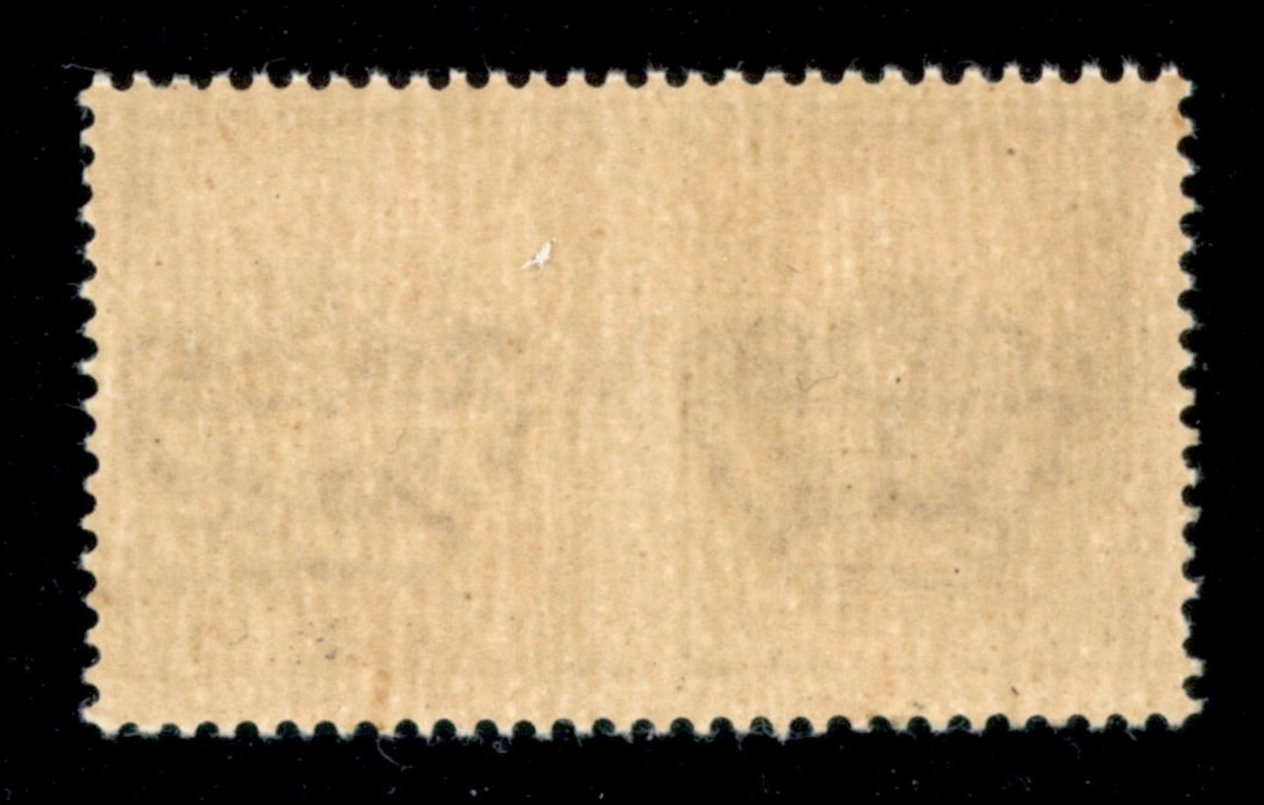Italia / Rsi / G.n.r. Brescia / Propaganda di Guerra