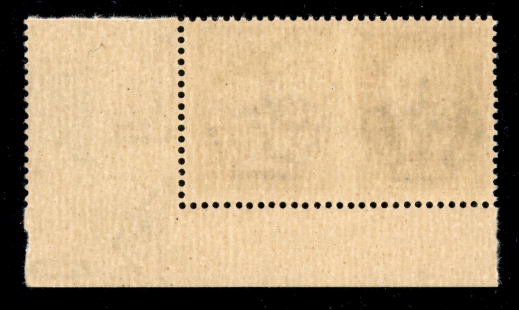 Italia / Rsi / G.n.r. Brescia / Propaganda di Guerra