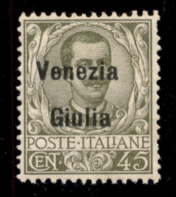 ITALIA / Occupazioni I guerra mondiale / Venezia giulia / Posta ordinaria