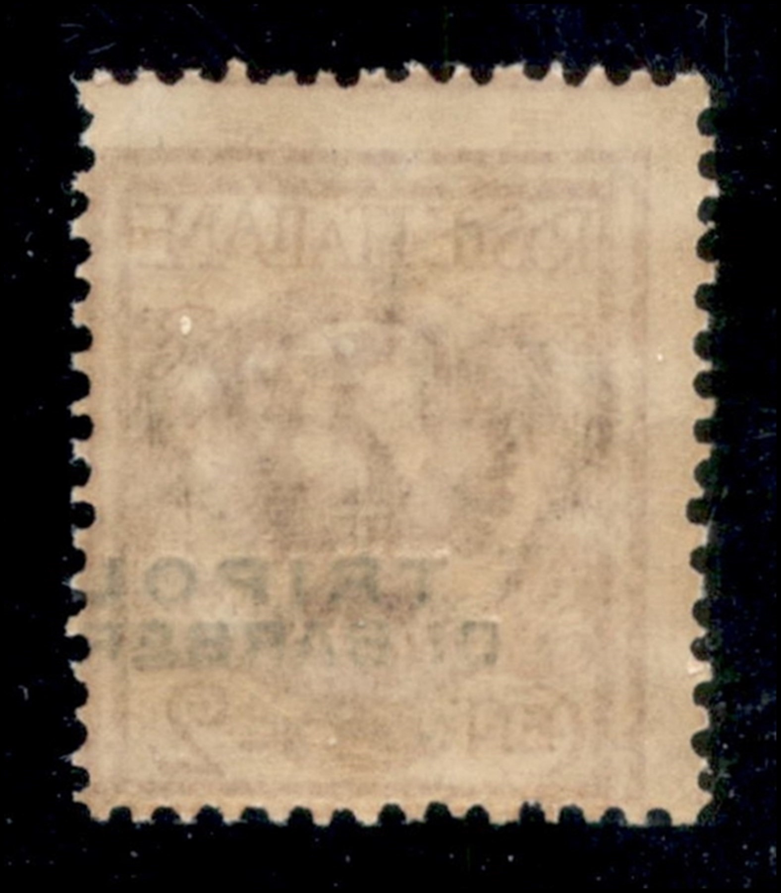 Italia / Uffici Postali All'estero / Levante / Tripoli di Barberia / Posta Ordinaria