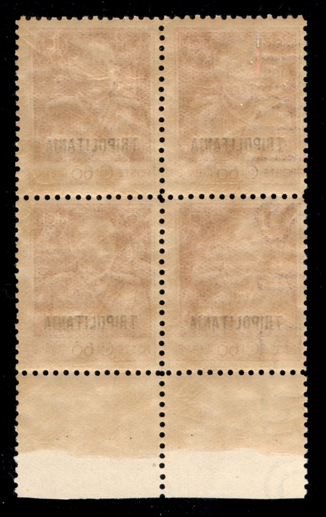 Italia / Colonie / Tripolitania / Posta Ordinaria
