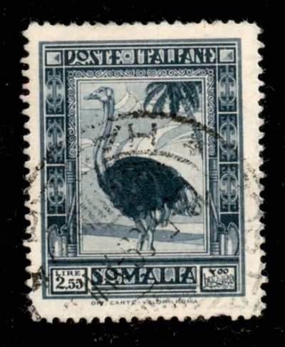 Italia / Colonie / Somalia / Posta Ordinaria