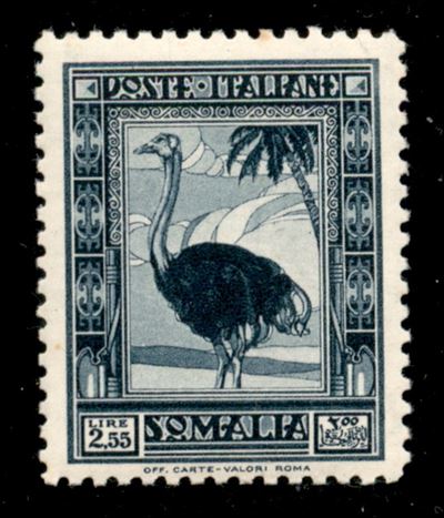 Italia / Colonie / Somalia / Posta Ordinaria
