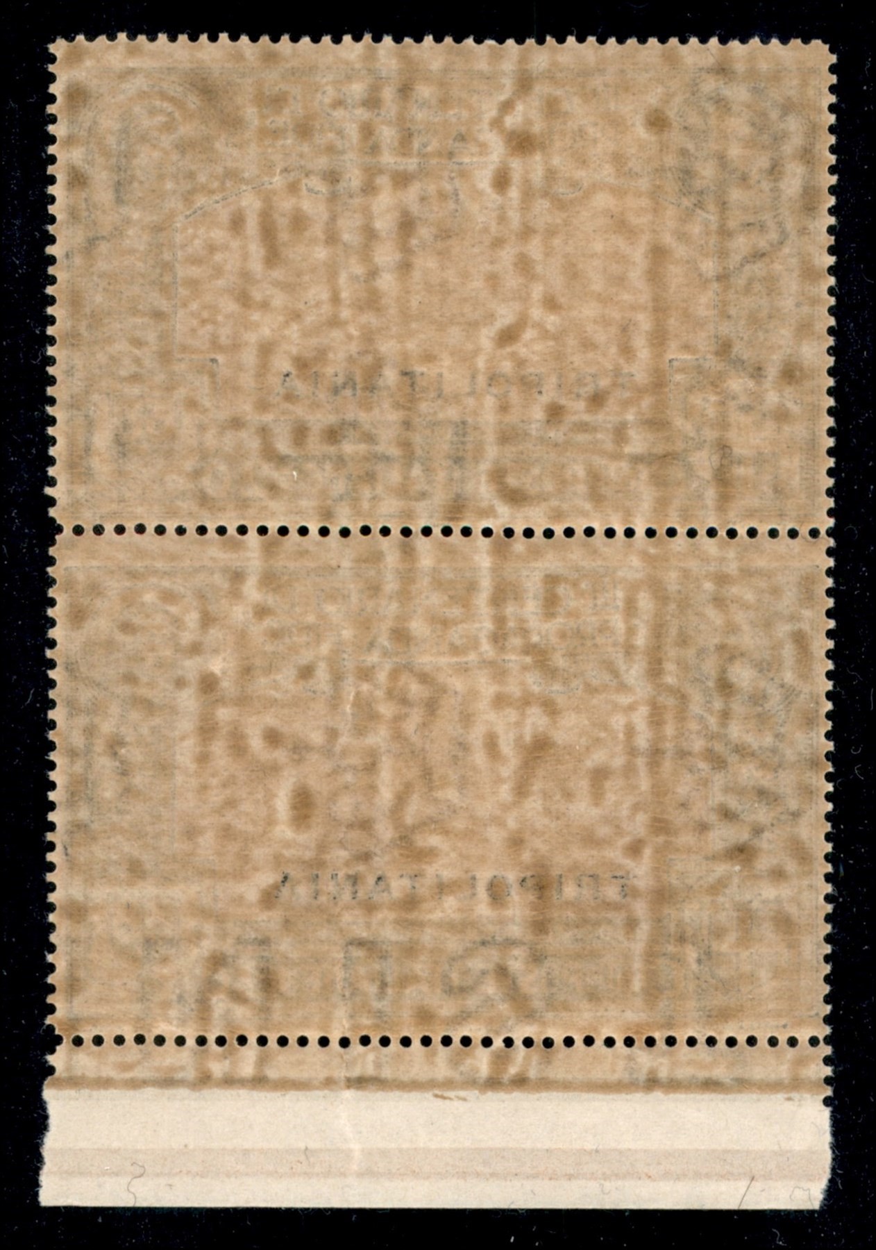 Italia / Colonie / Tripolitania / Posta Ordinaria