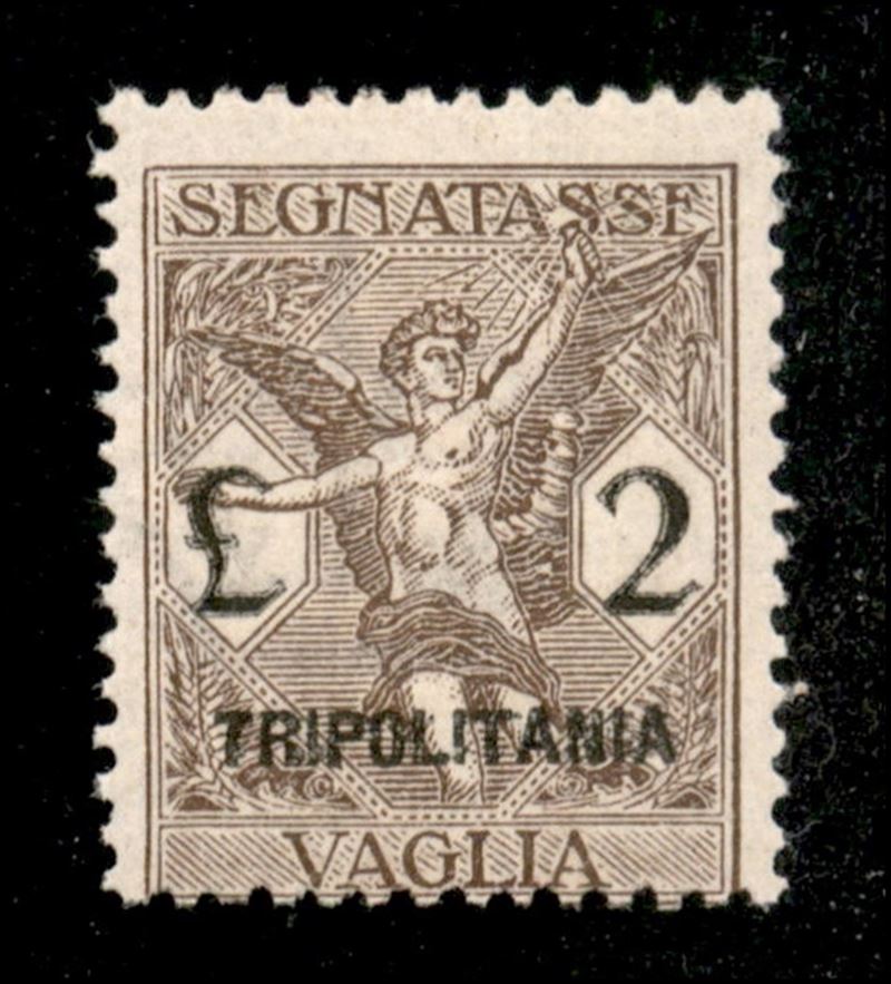 Italia / Colonie / Tripolitania / Segnatasse per Vaglia