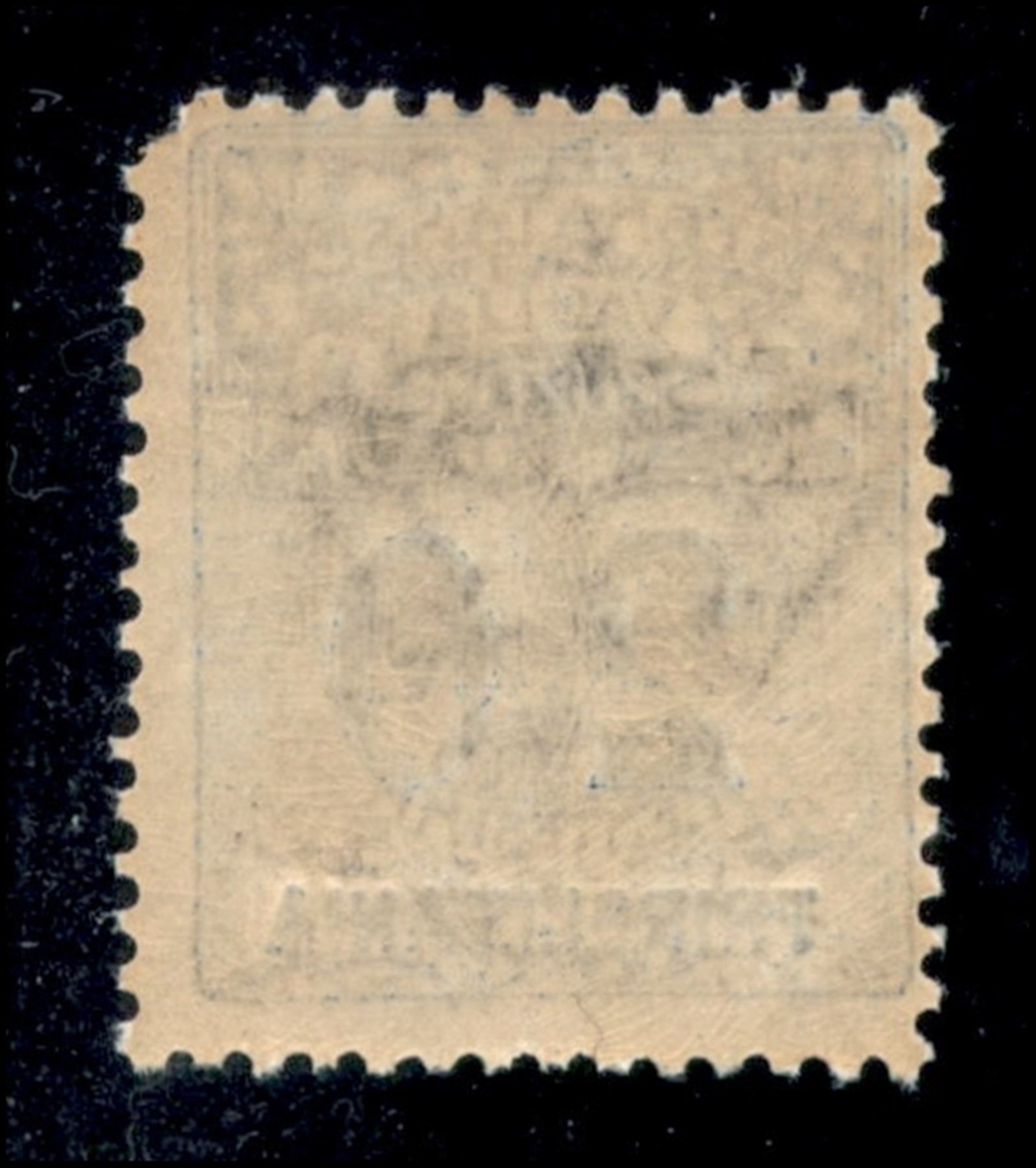 Italia / Colonie / Tripolitania / Segnatasse per Vaglia
