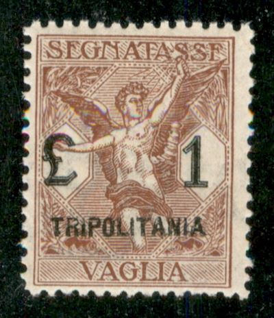 Italia / Colonie / Tripolitania / Segnatasse per Vaglia