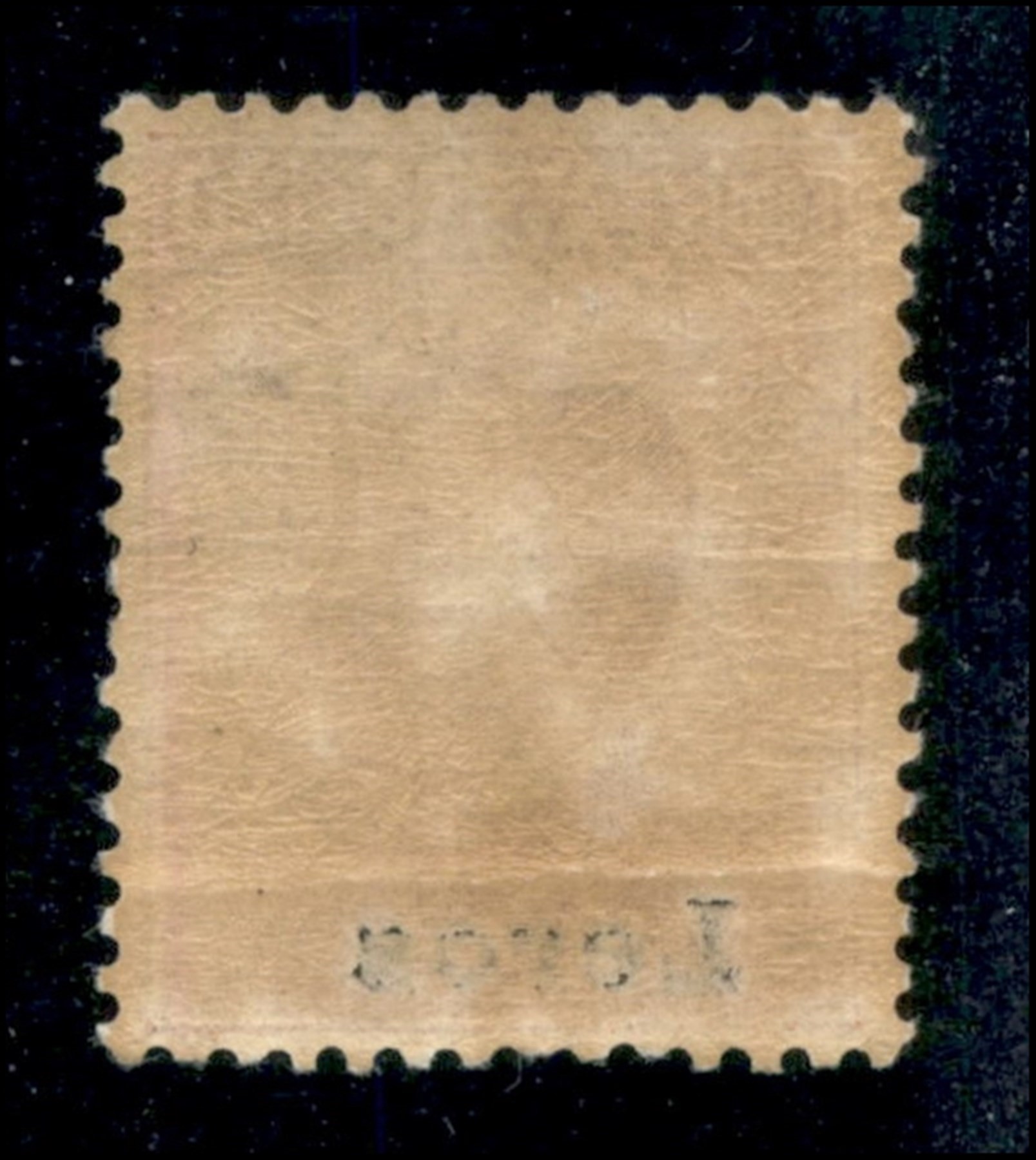 Italia / Colonie / Egeo / Lero / Posta Ordinaria