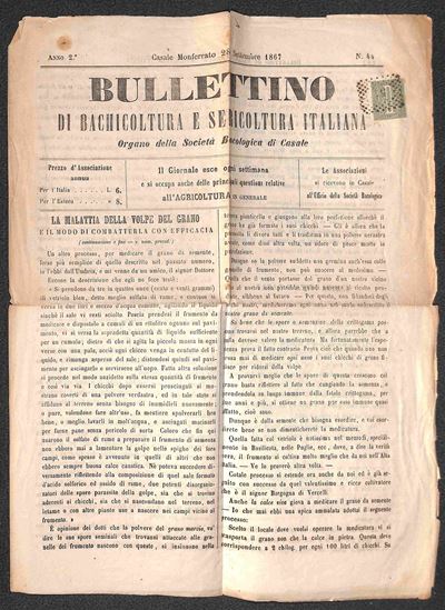 Italia / Regno / Vittorio Emanuele II / Posta Ordinaria