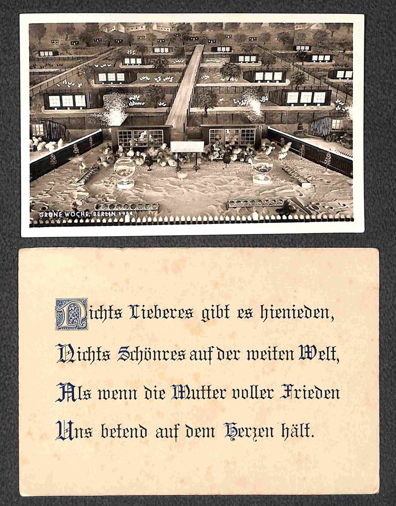 Germania / Berlino / Posta Ordinaria