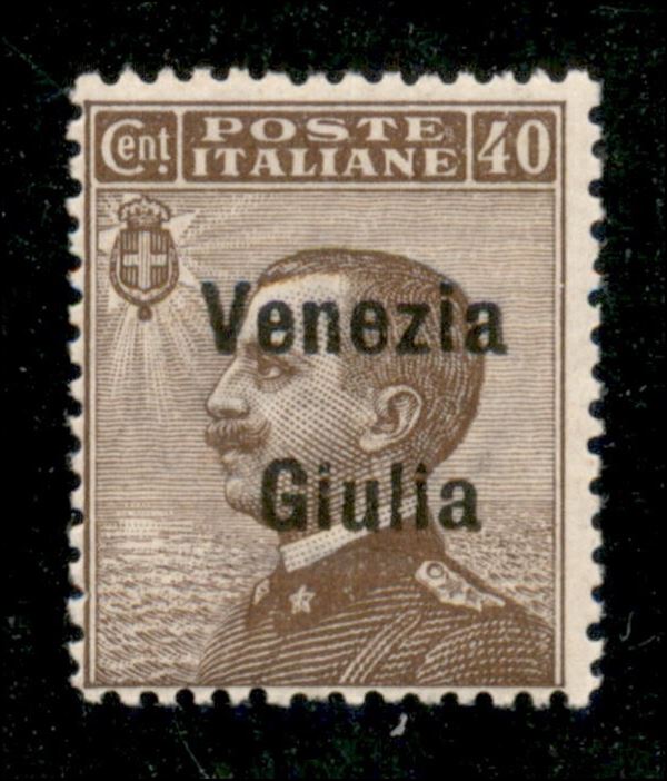 ITALIA / Occupazioni I guerra mondiale / Venezia giulia / Posta ordinaria