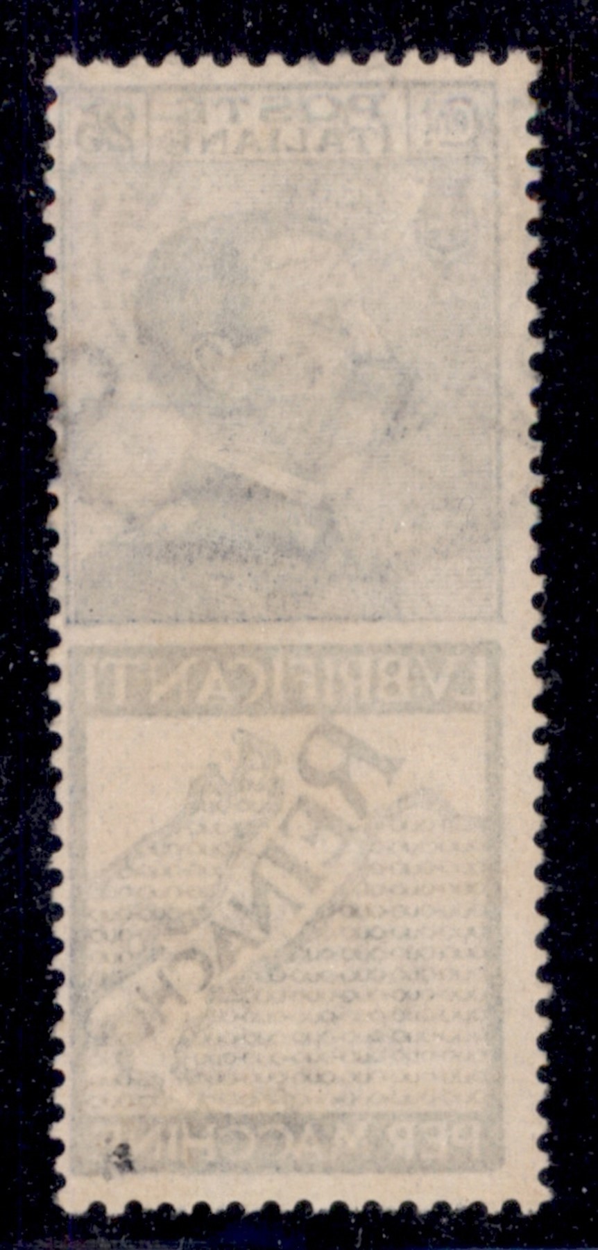 Italia / Regno / Vittorio Emanuele III / Francobolli Pubblicitari
