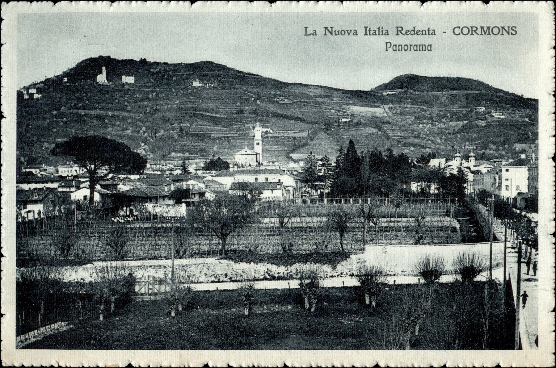 Italia / Regno / Vittorio Emanuele III / Posta Ordinaria