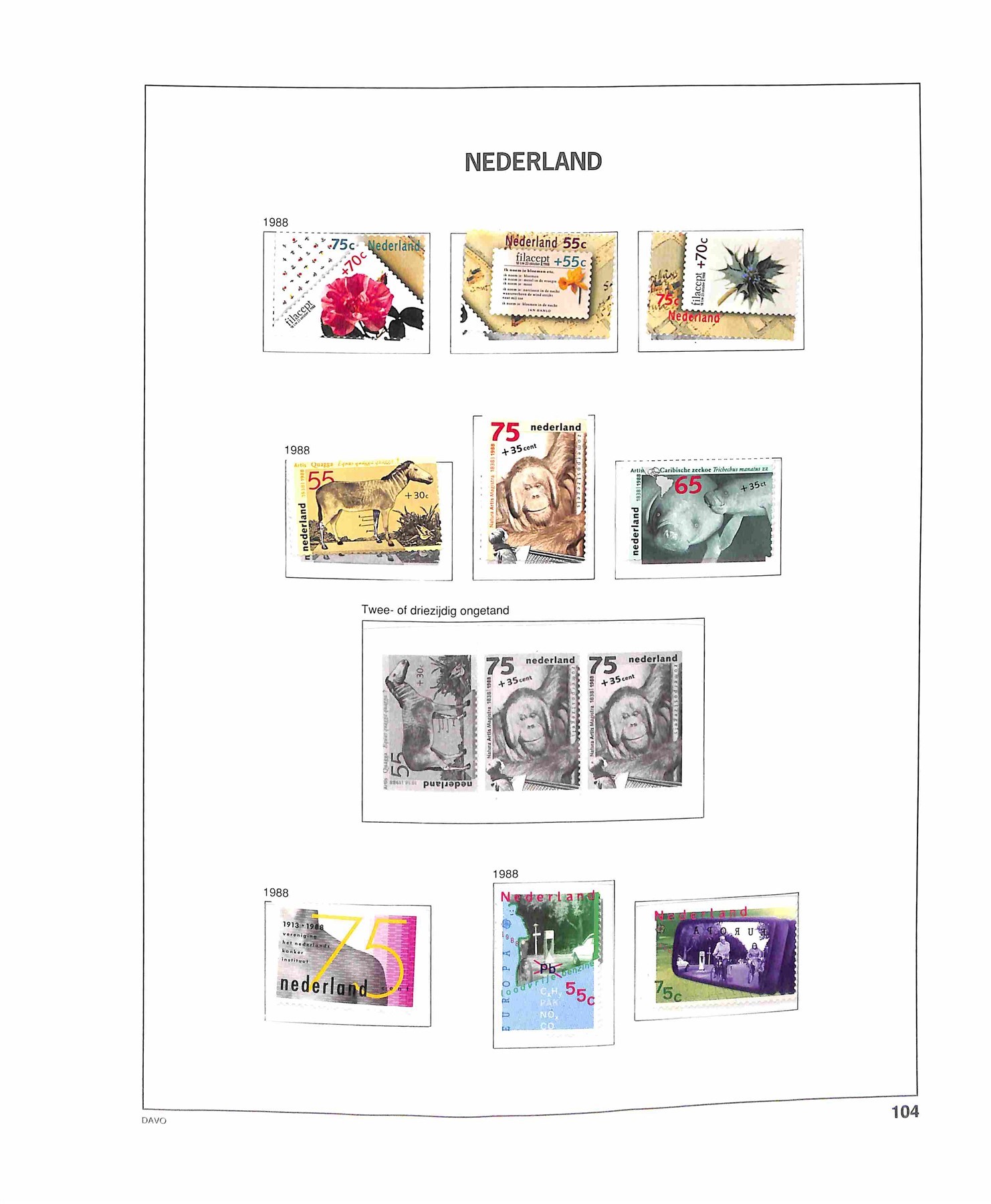 Olanda