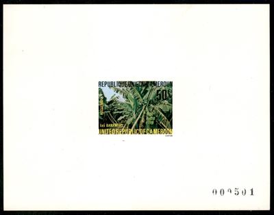 Camerun / Prova D'archivio