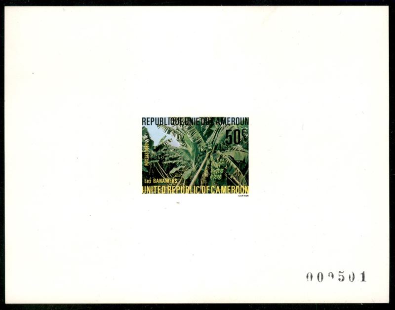 Camerun / Prova D'archivio