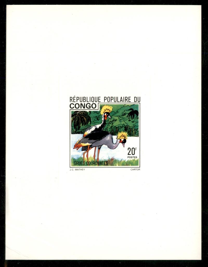 Congo / Prova D'archivio