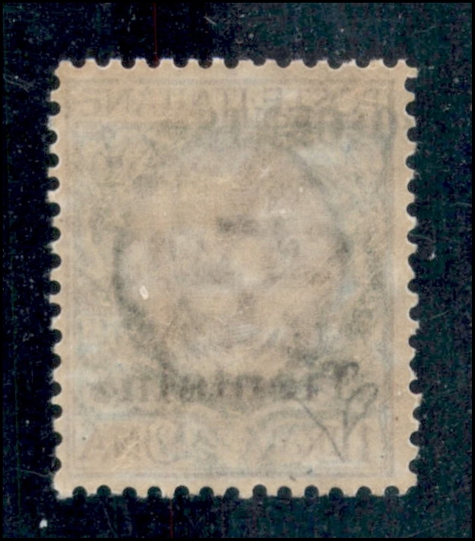 Italia / Uffici Postali All'estero / Levante / Tientsin / Posta Ordinaria
