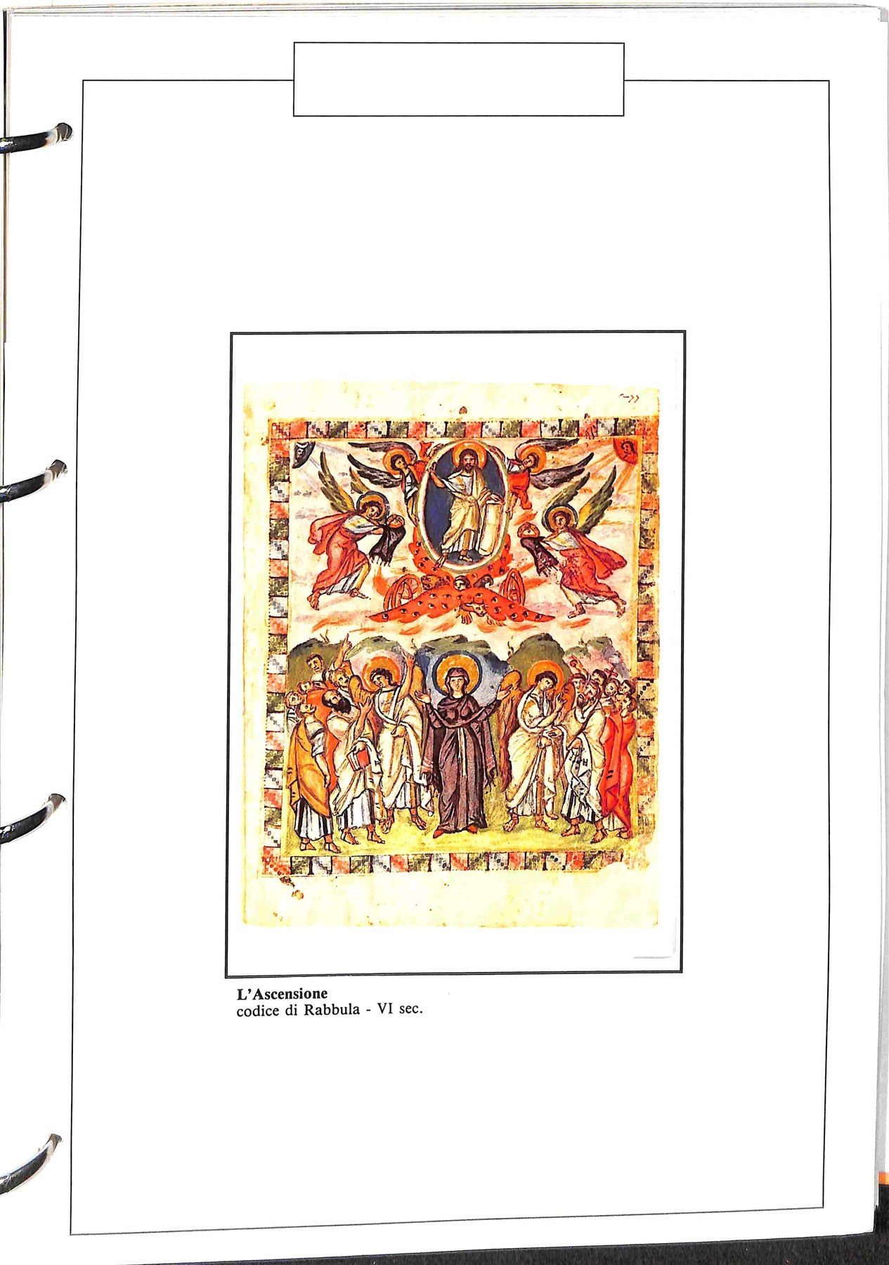 Tematica / Posta Ordinaria