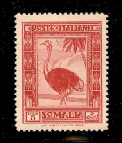Italia / Colonie / Somalia / Posta Ordinaria